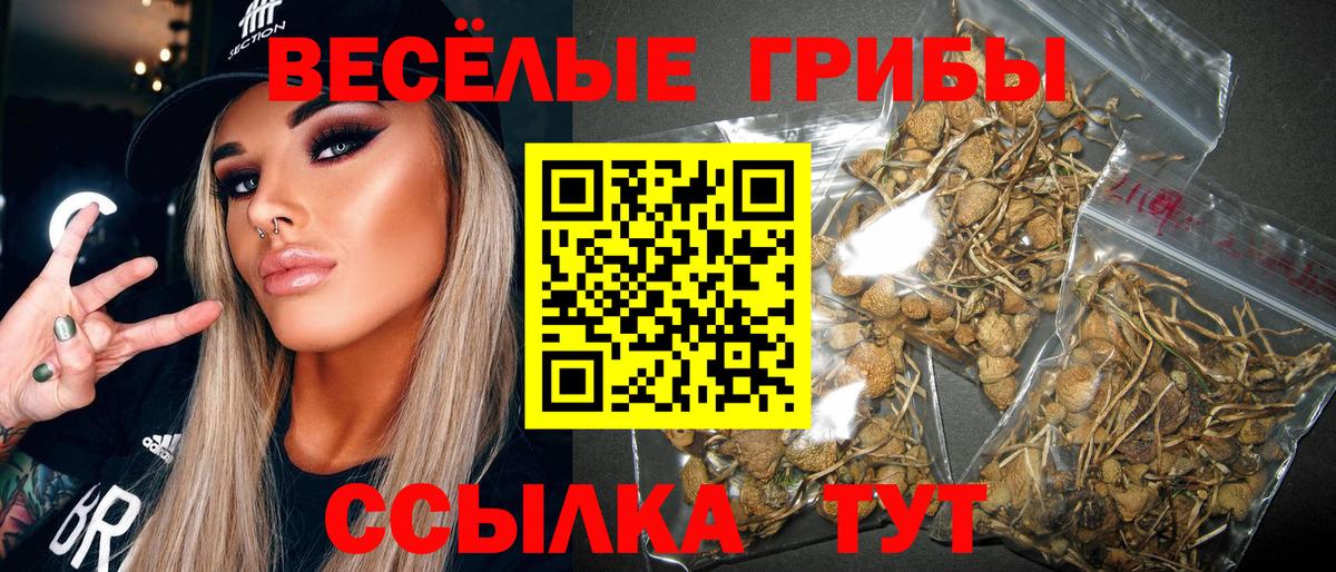 Псилоцибиновые грибы ЛСД  Вход с VPN  Псилоцибиновые грибы MAGIC MUSHROOMS  Абинск 