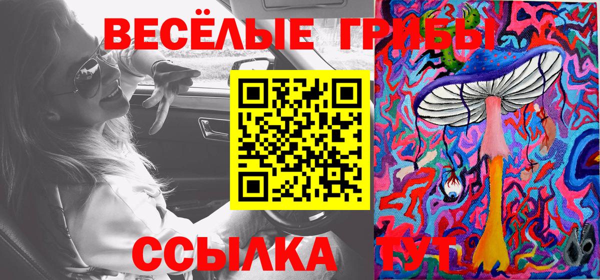 Псилоцибиновые грибы Psilocybine cubensis Абинск